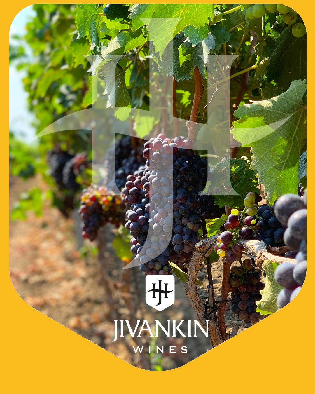 Винена Дегустация "Живанкин"